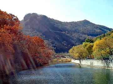 澳门天天彩期期精准平肖，田阳seo优化